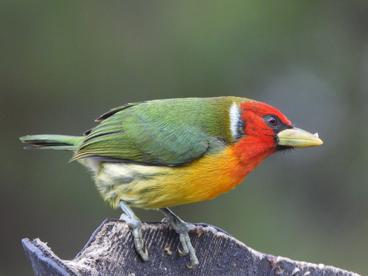 eatehortuad tweet picture