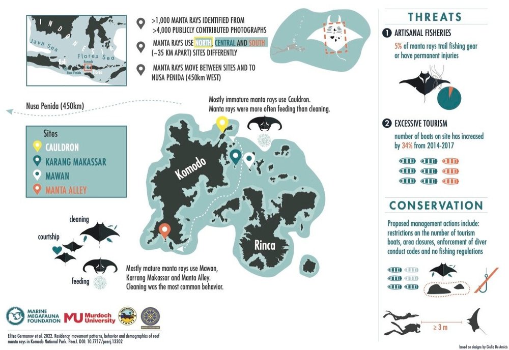 OceanicSociety's tweet photo. New Study Shows Komodo National Park Holds Some Of The Largest Aggregations Of Manta Rays | @MarineMegafauna 

https://t.co/H3vayohn5n https://t.co/qOsqOHkbts