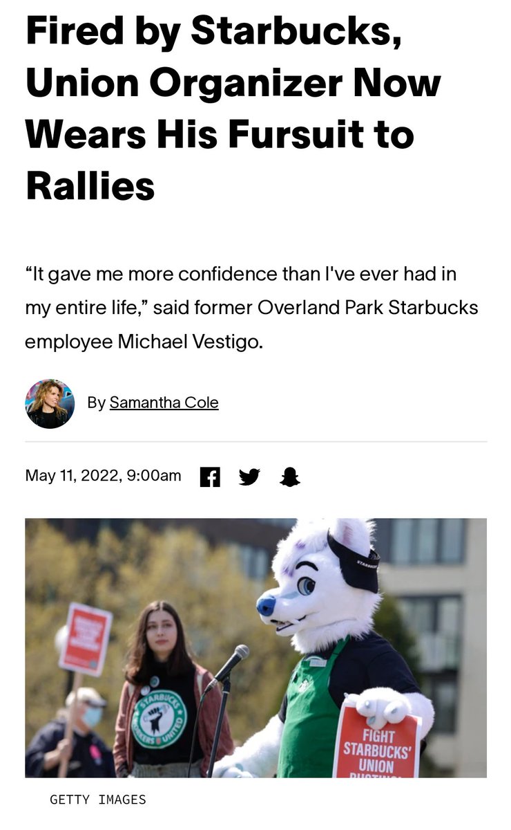 PaulBrounforGA's tweet photo. Whatever you do, DO NOT GOOGLE "FURRIES." They are a judgment from the Lord (see Rom 1:24-25). https://t.co/7JUzKbNUJE
