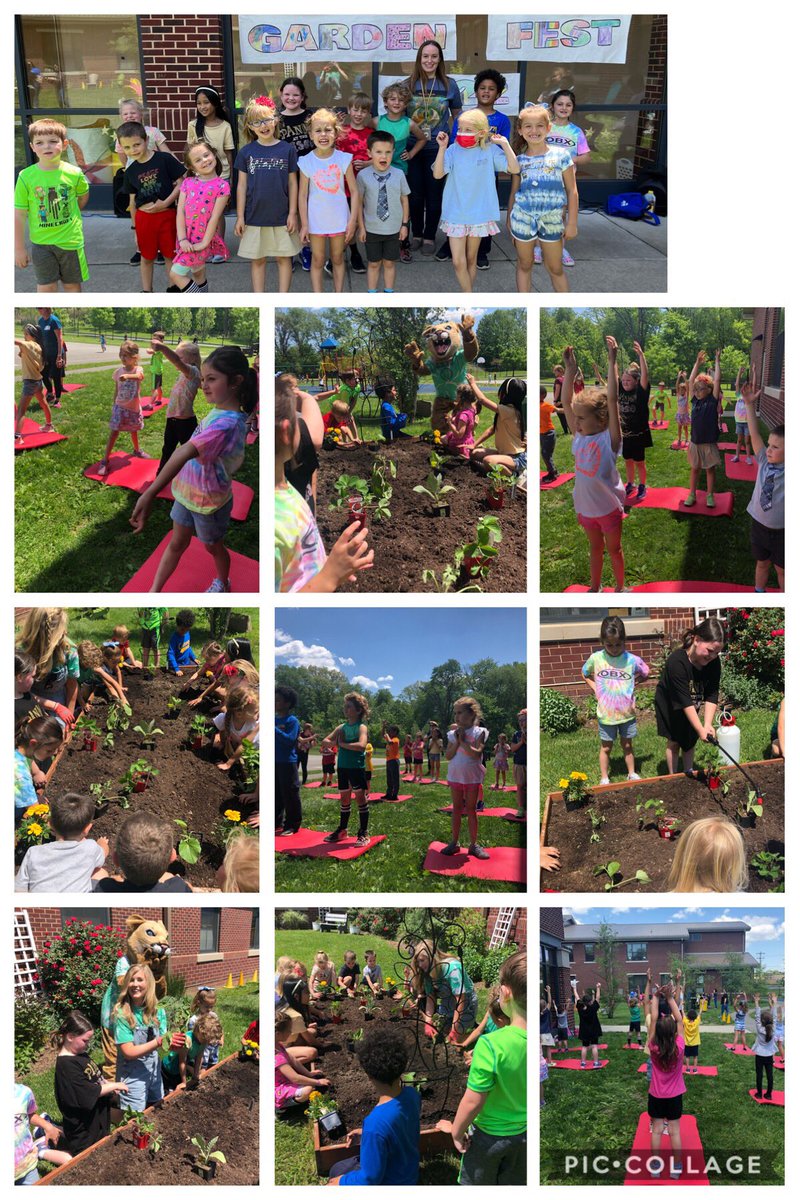 Mrs. S's 1st Graders tweet media