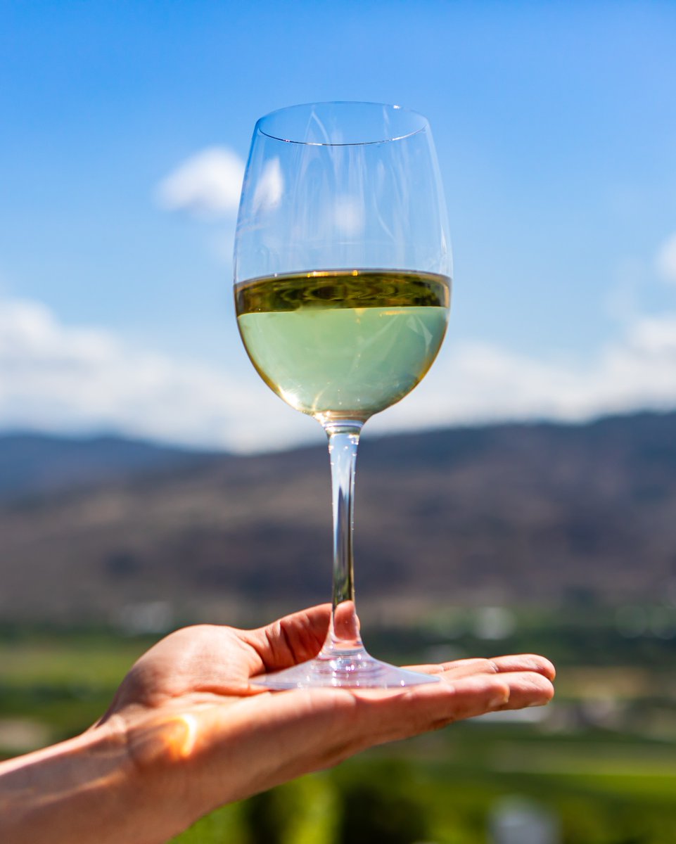 kwafwine's tweet photo. Did you know that today is #PinotGrigioDay? 
#PinotGrigio is known for its #refreshing acidity and its #lemon-lime, #pear, and stone fruit flavours. Some have subtle #nutty and #spicy flavours like baking spice and #almond. It's one of our favourite summer wines to indulge in! https://t.co/PYOxggOc9x