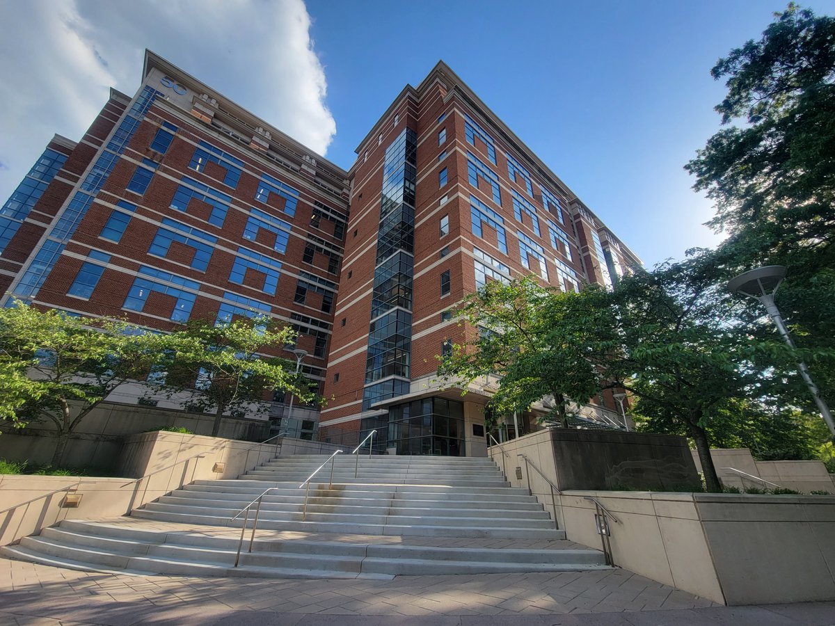 Parinaz Fathi, PhD tweet media