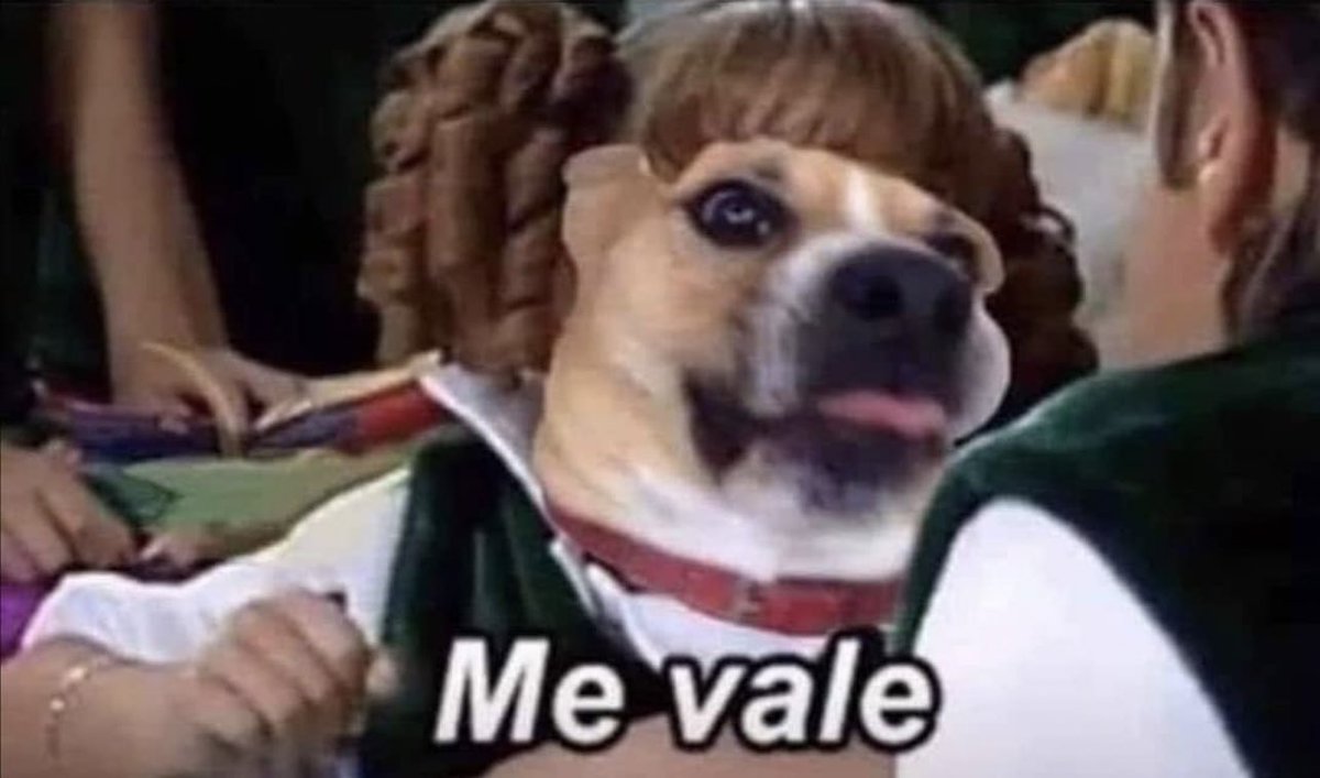 Guarromantico_'s tweet photo. “Ya pórtate bien, cómete tus croquetas, hay muchos perritos en la calle que no tienen casa ni qué comer…”

Mi perro: https://t.co/rmjceChoDw