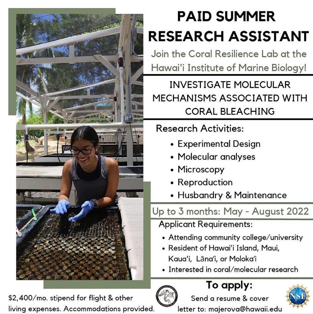 CoralResilience's tweet photo. We have one opening for a paid NSF-funded opportunity for a community college or undergraduate student this summer!

We’d like to provide more opportunities for students that live on neighboring islands, so we are not considering O'ahu applicants for this specific opportunity. https://t.co/4Ilko41gkI