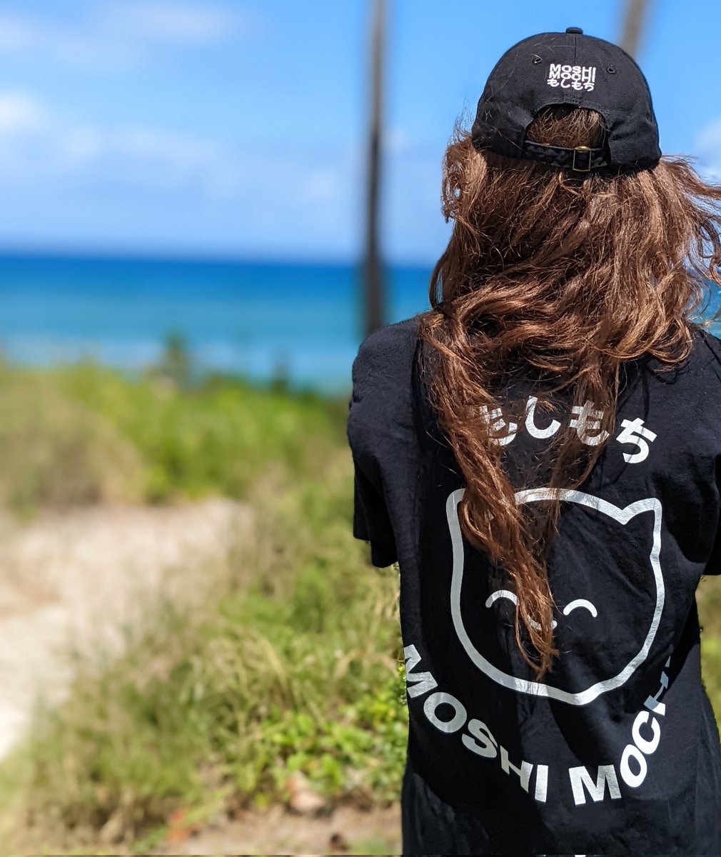 SaraSmols's tweet photo. My @MoshiMochiNFT package touchdown today! I showed it off at the beach today;D https://t.co/1ThDOQRUKG