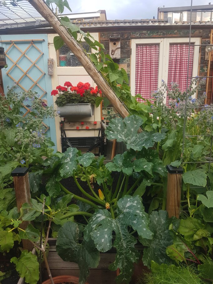 Bas Paternotte tweet media