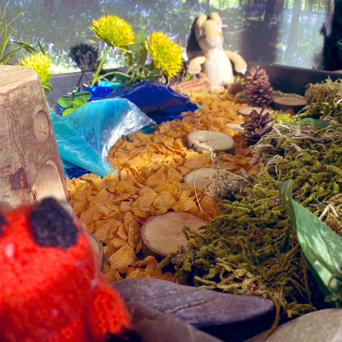 olasjfoundation's tweet photo. A mouse took a stroll through the deep, dark woods... #earlyyears #eyfsideas #juliadonaldson #smallworlds #tufftrayideas #olasjprimary https://t.co/vAOf4X4vkS