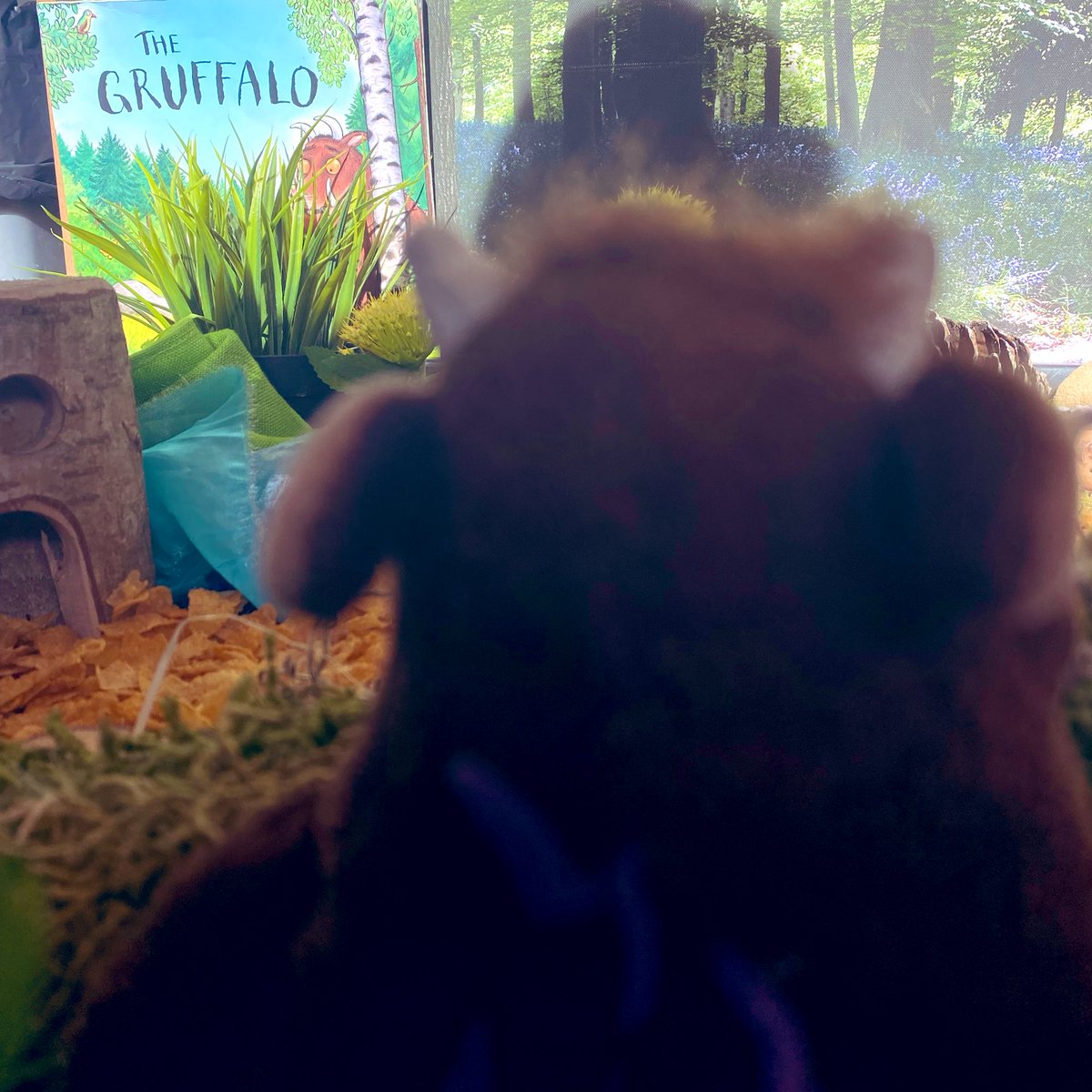 olasjfoundation's tweet photo. A mouse took a stroll through the deep, dark woods... #earlyyears #eyfsideas #juliadonaldson #smallworlds #tufftrayideas #olasjprimary https://t.co/vAOf4X4vkS