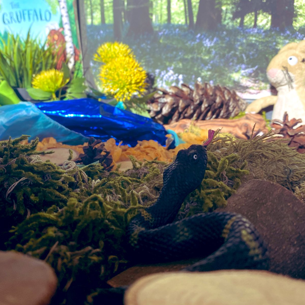 olasjfoundation's tweet photo. A mouse took a stroll through the deep, dark woods... #earlyyears #eyfsideas #juliadonaldson #smallworlds #tufftrayideas #olasjprimary https://t.co/vAOf4X4vkS
