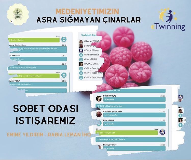 hakikathanem's tweet photo. Twinspace Sohbet Odası istişare toplantımızı gerçekleştirdik. 

Emine YILDIRIM https://t.co/yZYkf5PVep