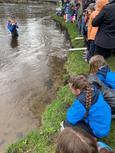 NV_Wildcats's tweet photo. Northview's K-5th grade Field School students released their salmon as part of @MichiganDNR's Salmon in the Classroom Program. This is an awesome experience for our students! #welearnoutside https://t.co/1glrMs8hbm