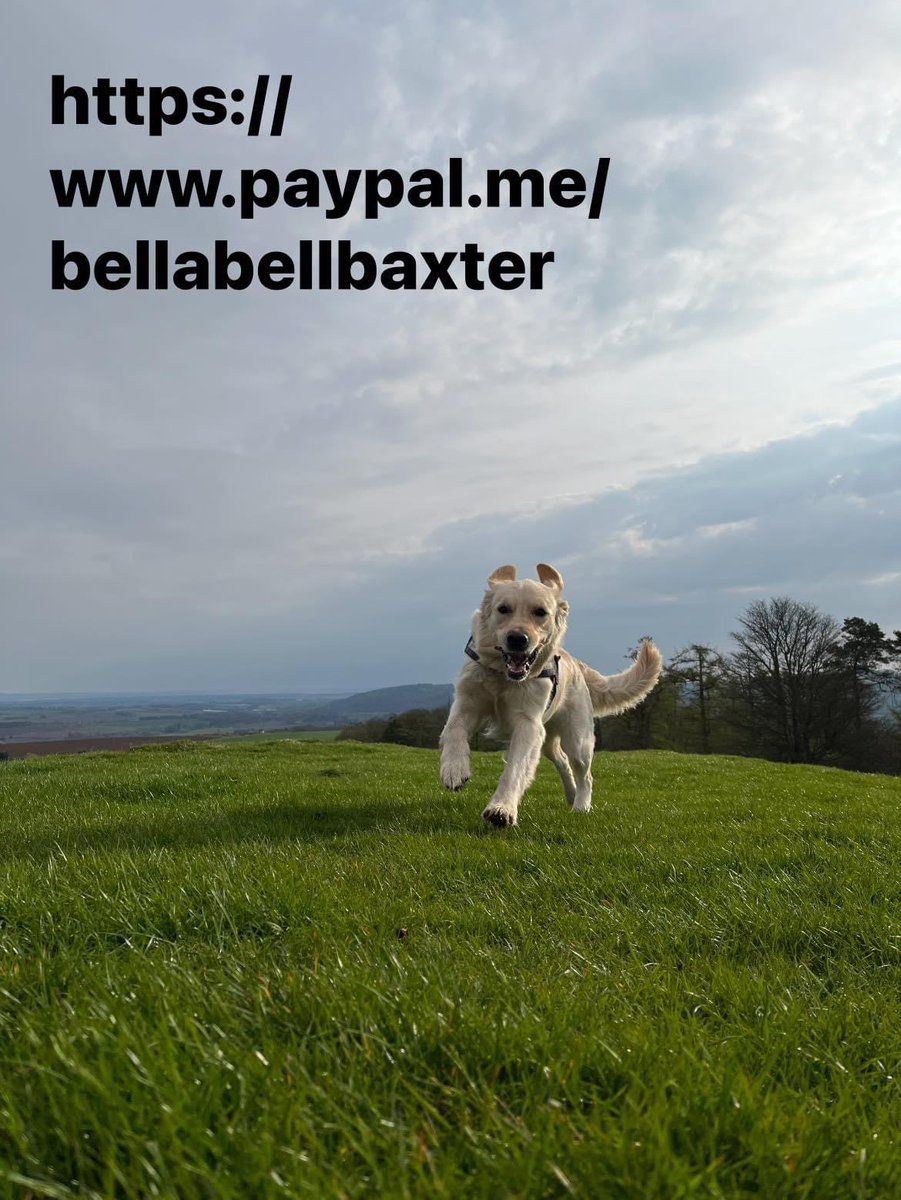 Hurry, hurry, hurry … only ten more days to get your raffle tickets to be in with a chance of winning some fabulous prizes. 🎉🎉🎉🎉🎉🎉🎉
#bellbaxterhighschool