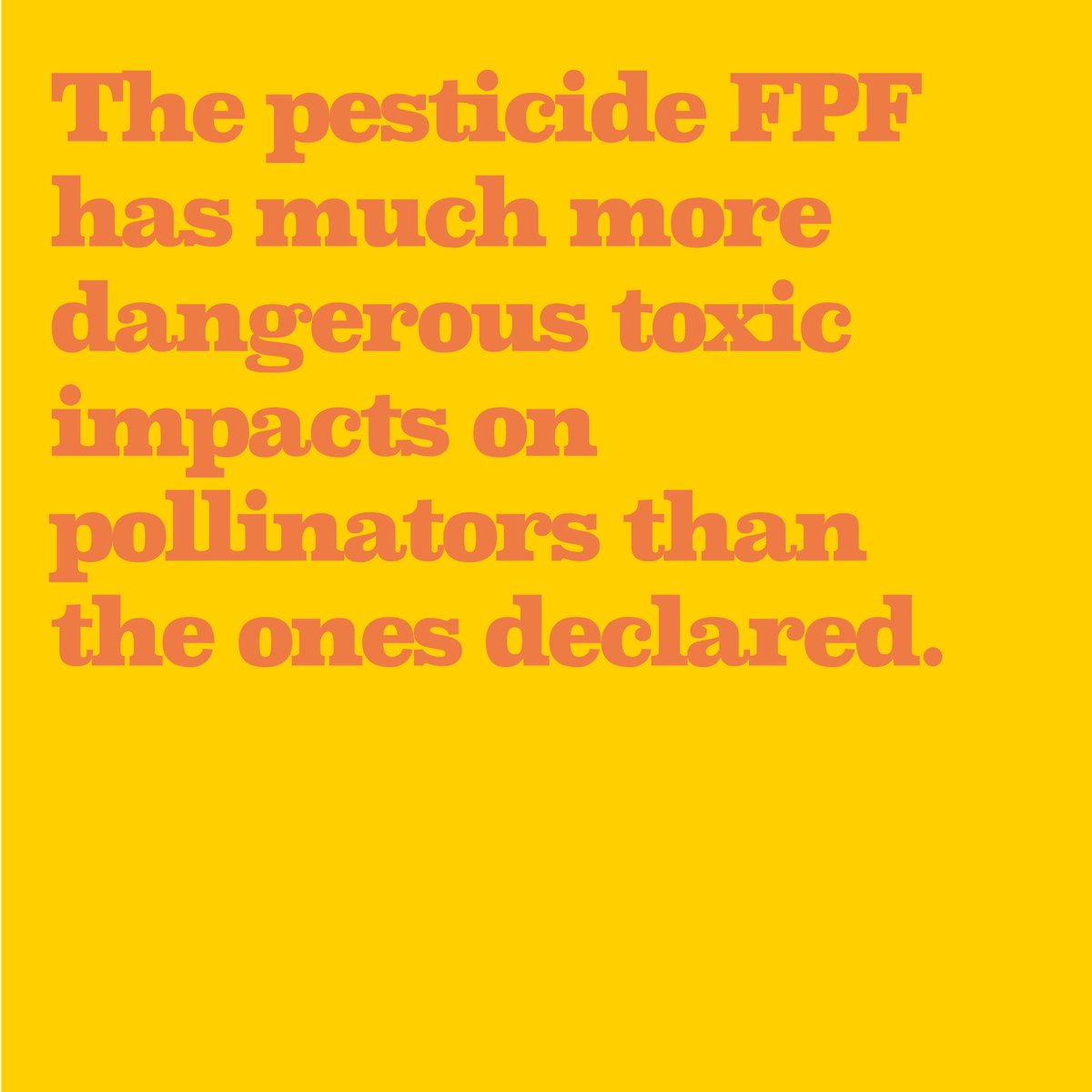 Bee Human 🐝 tweet media