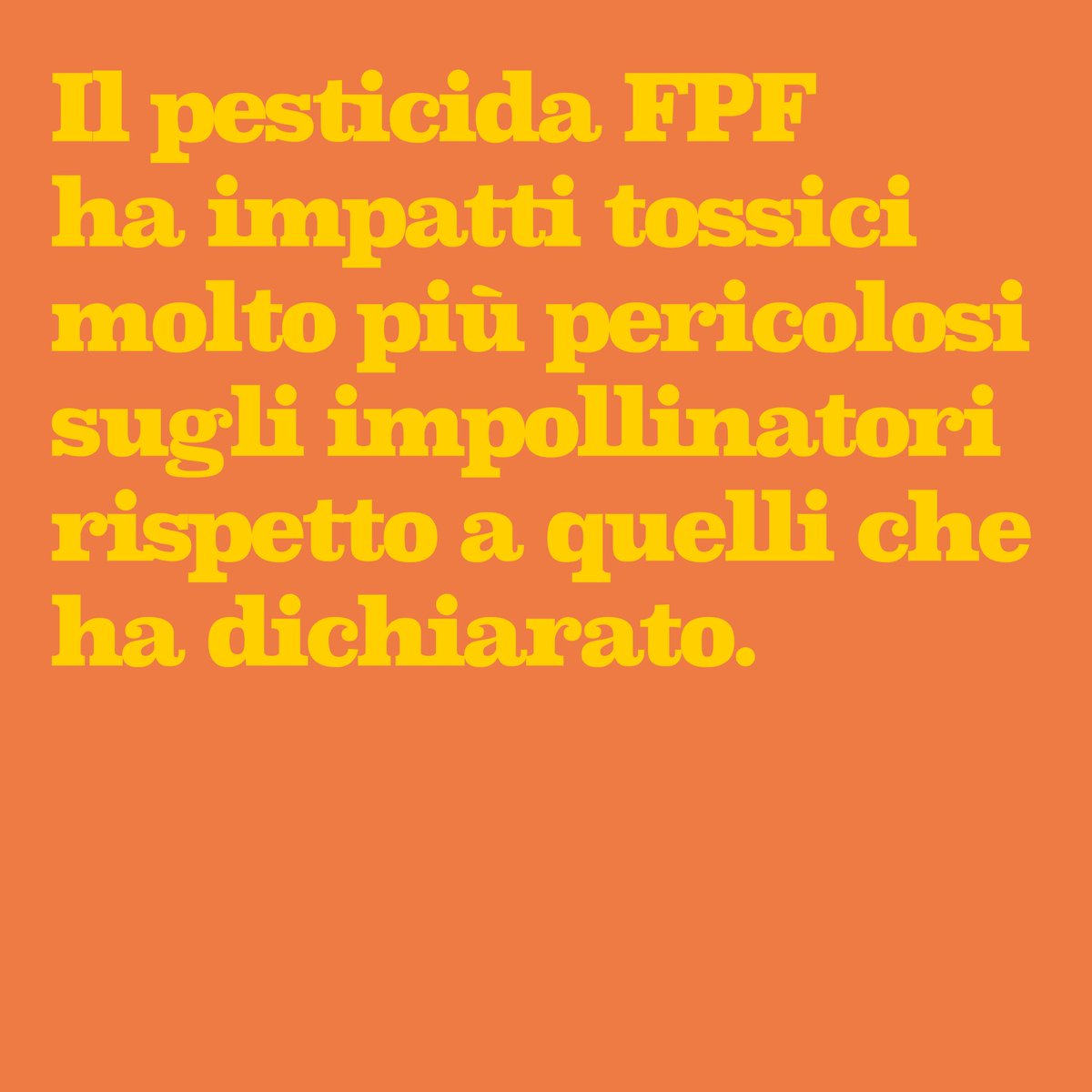 Bee Human 🐝 tweet media