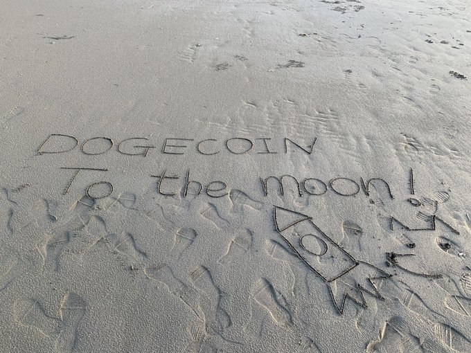 Doge-1 Mission to the moon tweet media