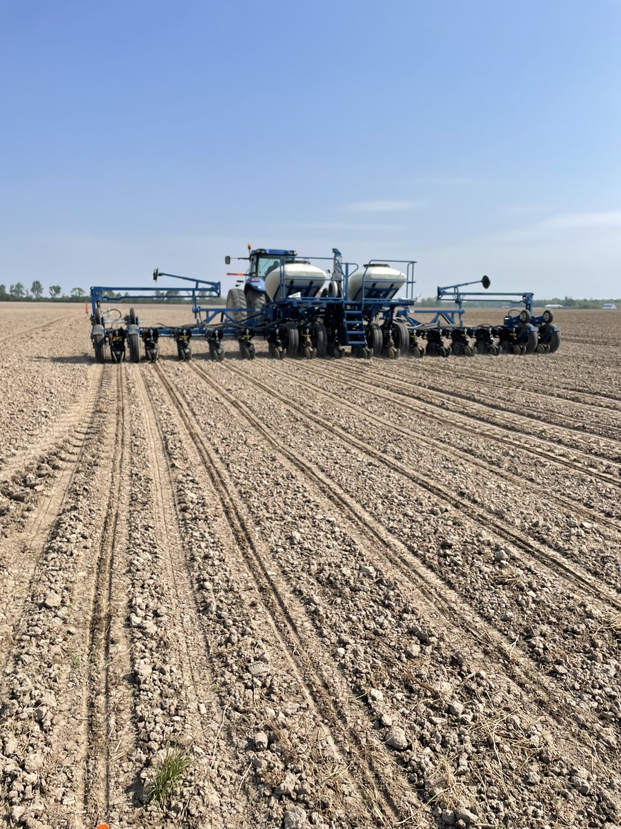 KalynneFitz's tweet photo. A fun day out planting plots! #nkseeds #Plant22 https://t.co/p8b8U11ptl