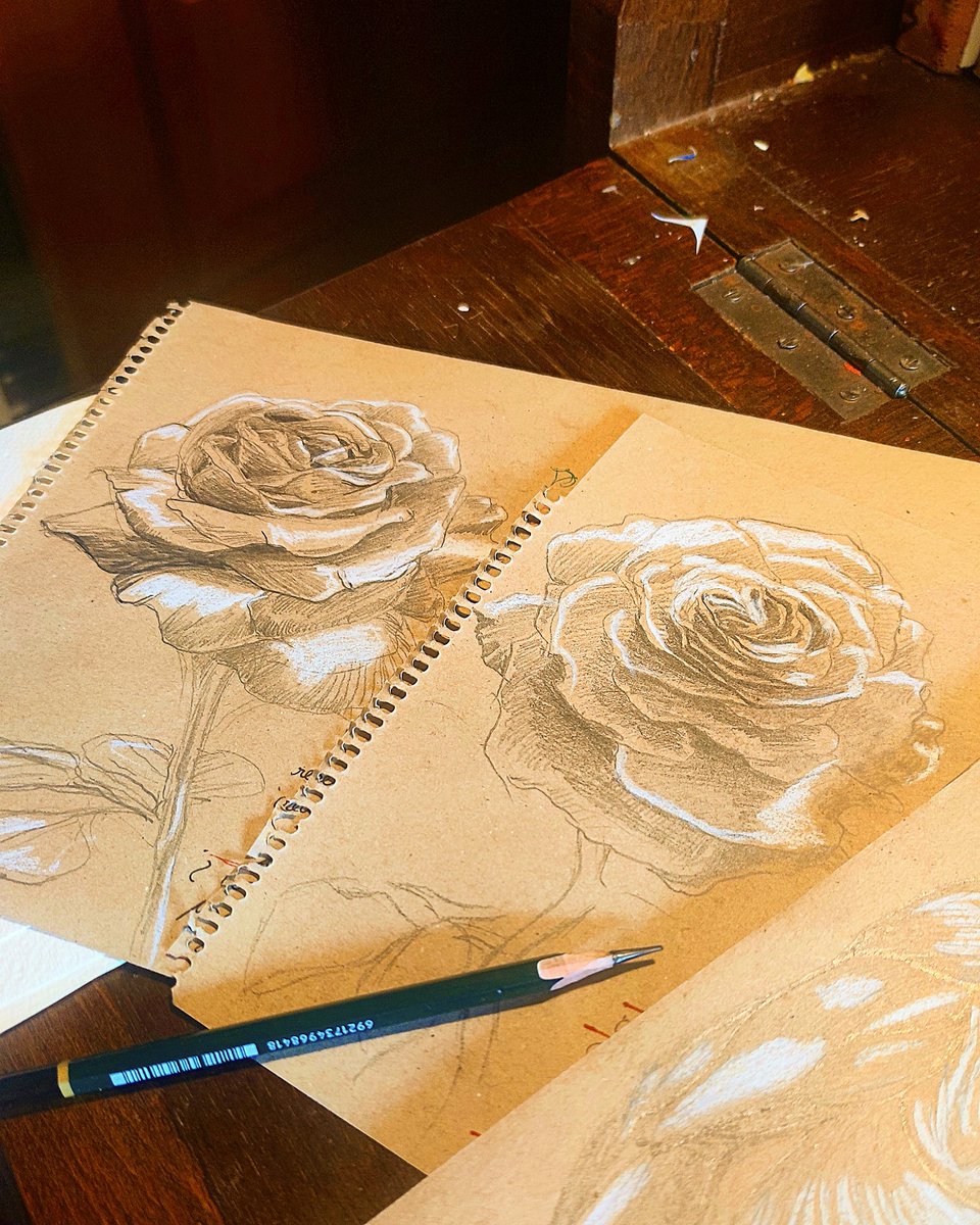 torredelforth's tweet photo. SPECIAL WEEK for rose lovers🌹🌹 #esbozo #holiday #roses #dibujonaturaleza #flowersketch #artdiary #tourism #dibujopajaro #rosa #rosas #flowerdrawing #rosedrawing #cuadernodedibujo #boceto  #cuadernodearte #sketchdiary #sketch_daily #boemianlifestyle #sketching #sketchbook https://t.co/1JMBUOVnRc
