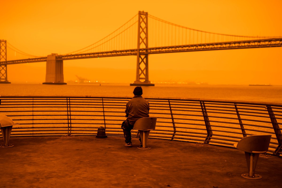 halidkalkan's tweet photo. @NickBrownlow_ Hello Nick! 
Here is one piece of my San Francisco: The Day of Apocalypse collection: 

https://t.co/F5HRYfop47

0.2 $ETH https://t.co/uNCuPXqGJy