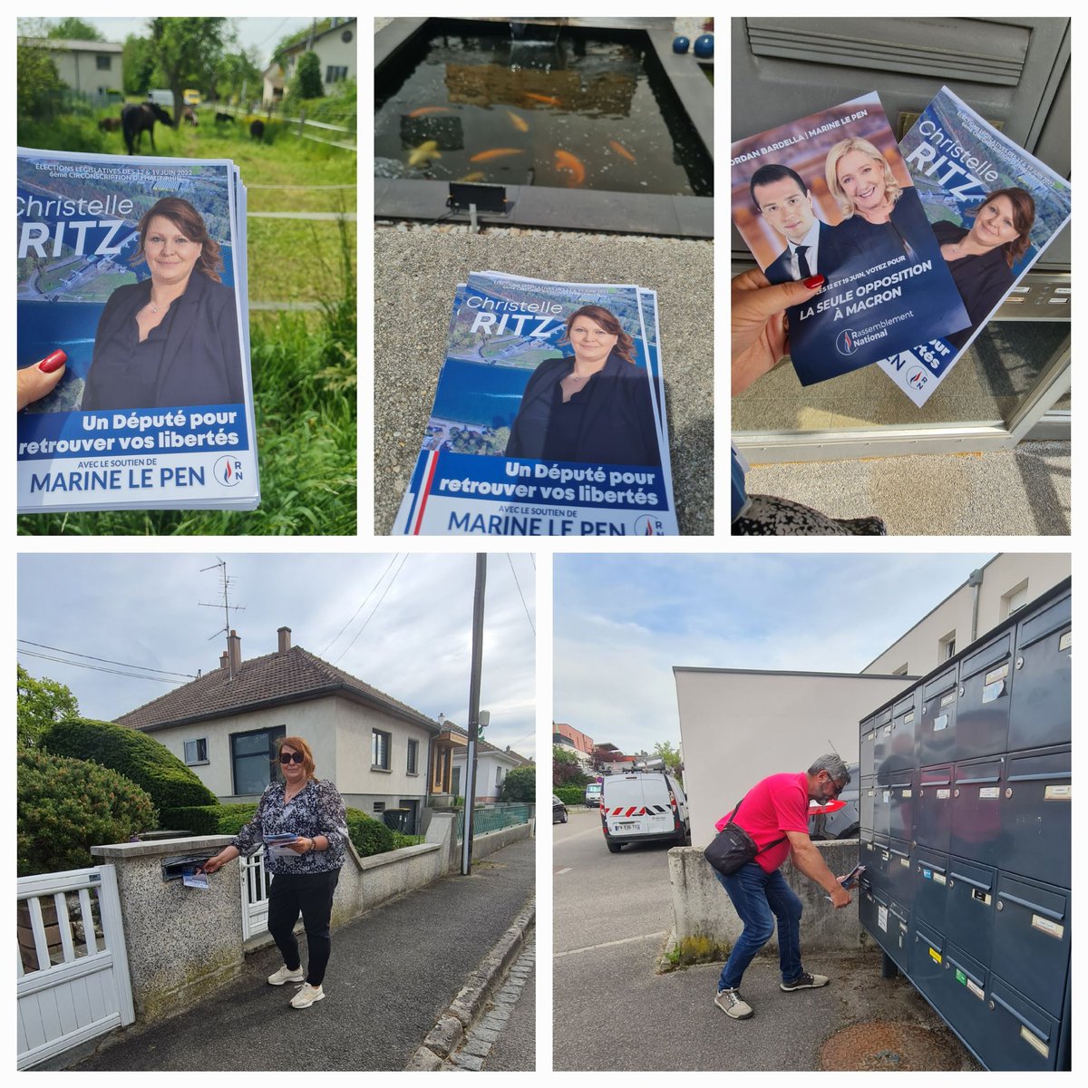 christelleritz's tweet photo. Boitage et porte à porte à #Reiningue et #Pfastatt. Échanges et encouragements au rdv.Une chose est sûre, nombreux sont ceux qui ne veulent pas laisser une majorité au Président Macron.
Alors les 12 et 19 juin prochain pas d'abstention !!
Quand le Peuple vote, le Peuple gagne 🇨🇵 https://t.co/fyJakobwWD