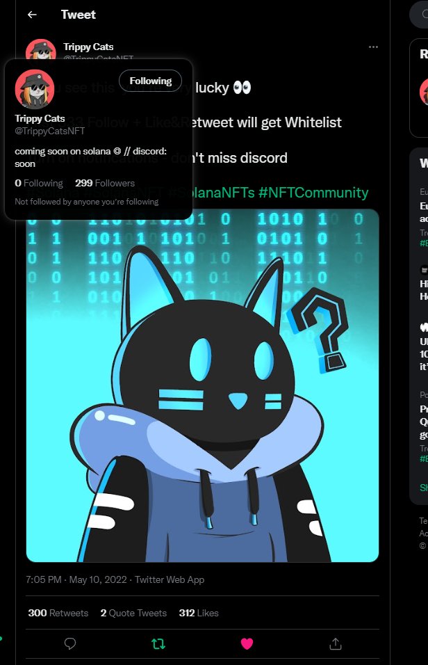 urblxp's tweet photo. @TrippyCatsNFT yoo lets gooo https://t.co/JIWb2mLAoB
