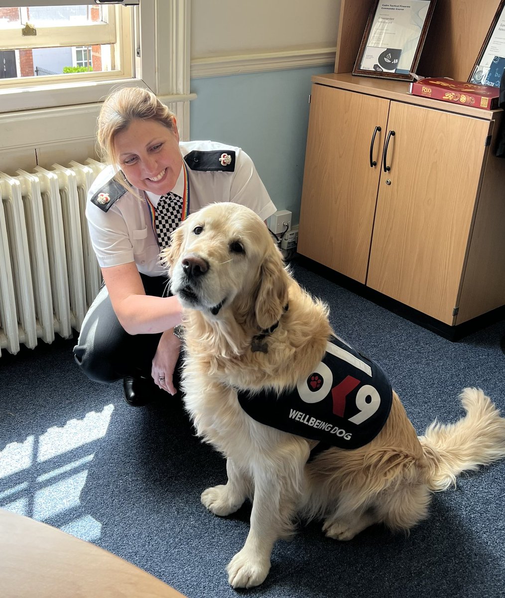 Rapha_Wellbeing's tweet photo. I was very happy to see @SuptRebeccaLove today and I did give her my best smile in a hope to share a biscuit!😋
@OscarKiloUK @OscarKiloNine #wellbeingdog #pauseforpaws @SWorcsCops https://t.co/sIzswQ8sti
