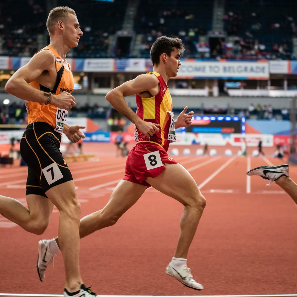 Sergiopaniaguae tweet media