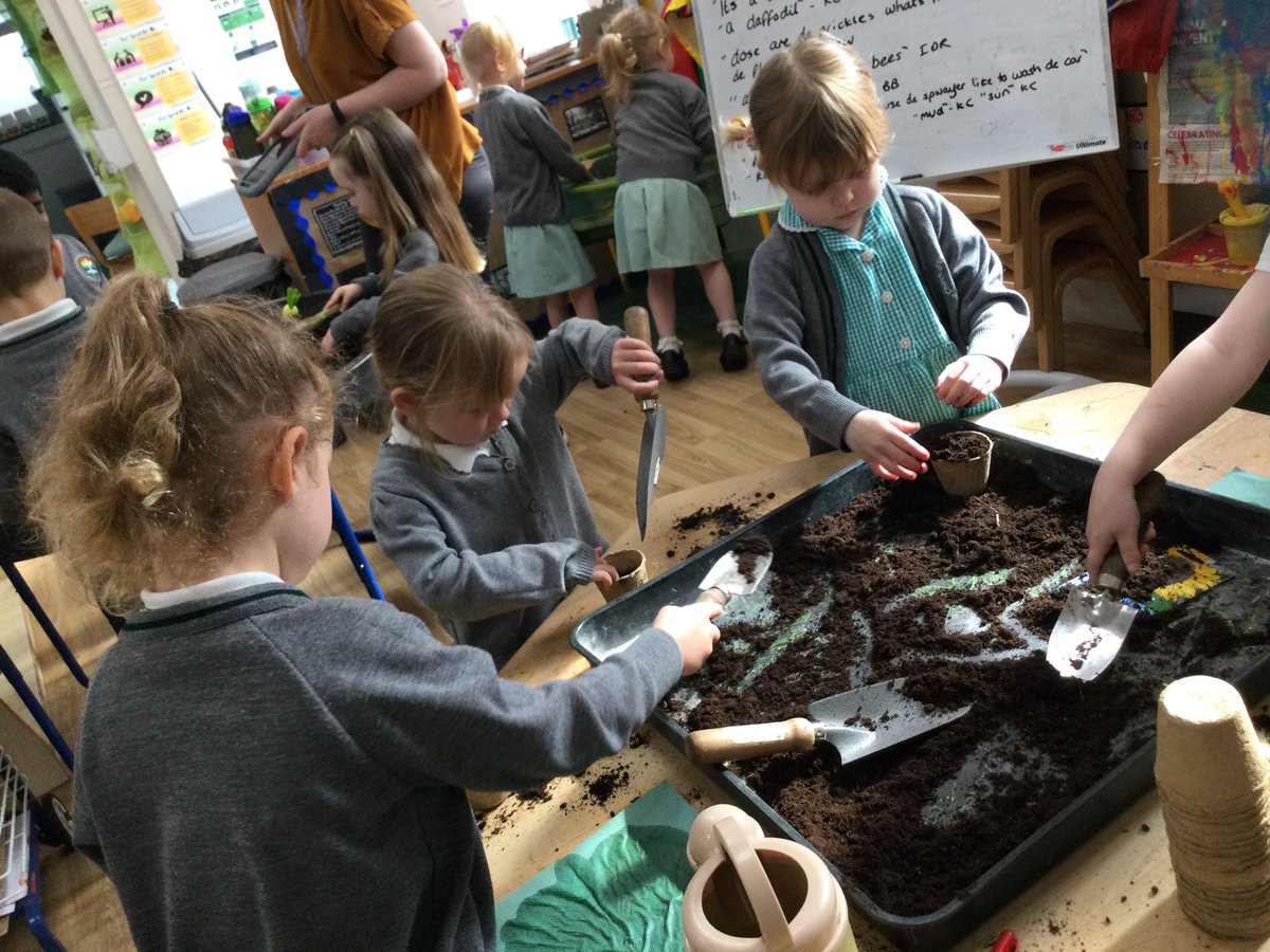 Nursery have been busy planting sunflower seeds 🌻We talked about the steps we needed to follow and made our own instructions using our story language “first, next, after that, finally” to help us #parishearlyyears #parishscientists #lifecycles