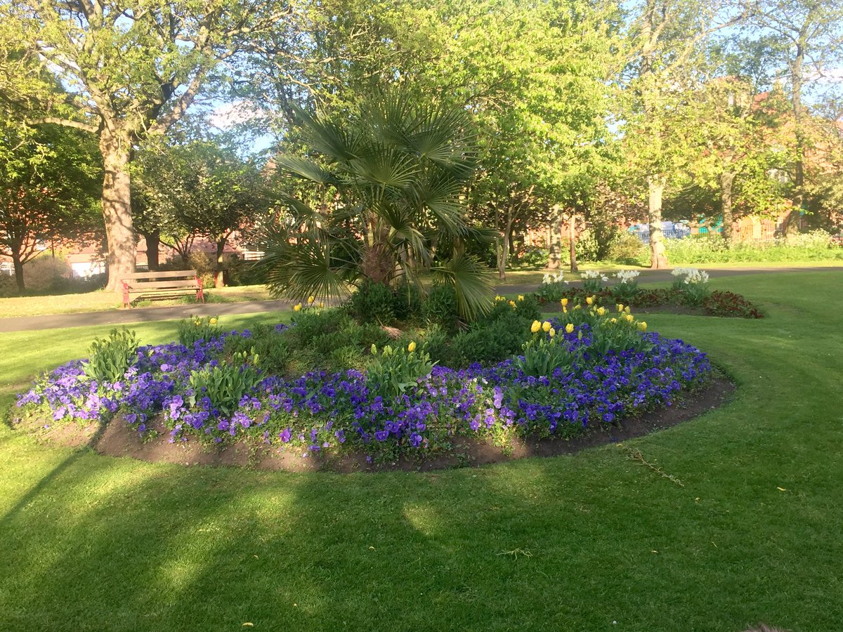 capttransport's tweet photo. .@NTCouncilTeam Wallsend Park’s looking lovely this evening, well done 👍 https://t.co/gl6W5yby3t