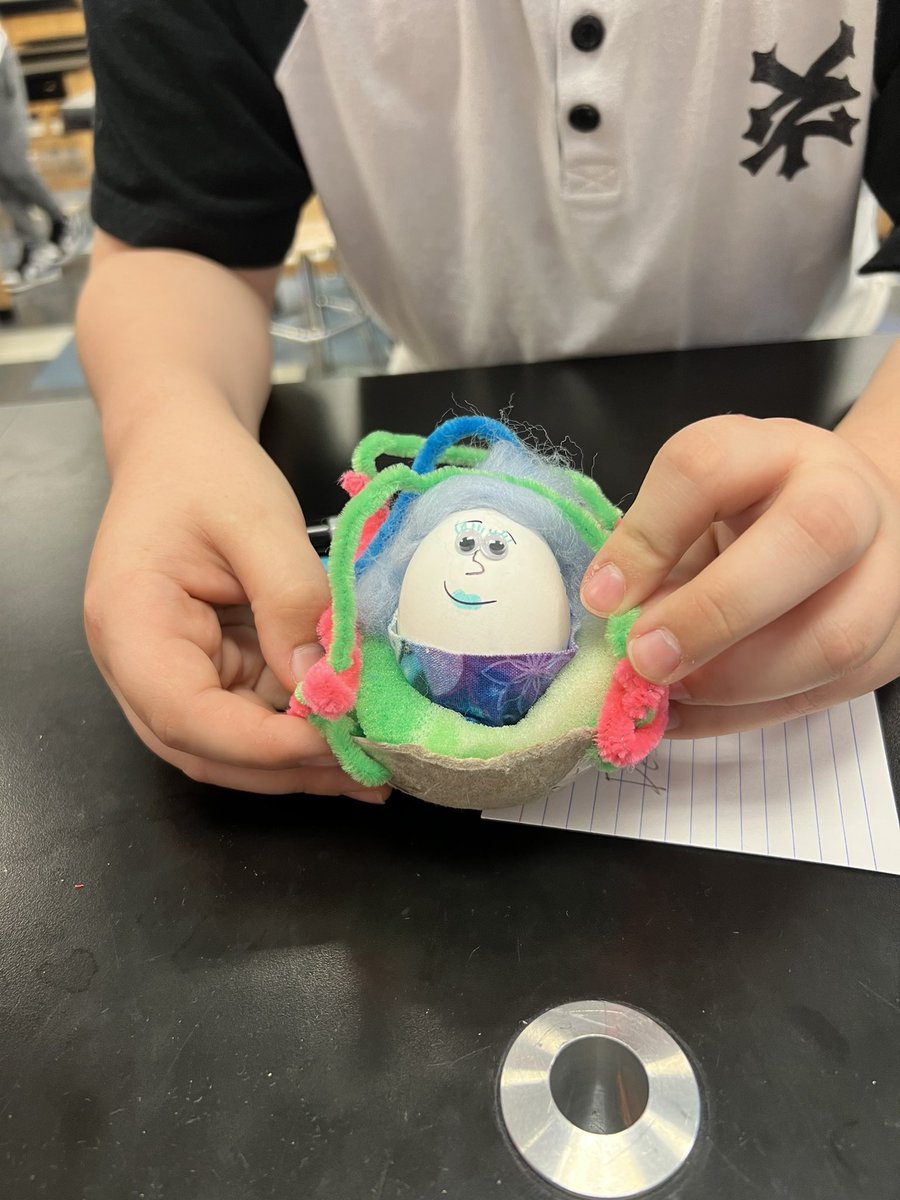 LionsRbms's tweet photo. 7th grade students have embarked on their Practice Parenting Projects! 

Students were asked to make their egg a protective carrier &amp; their egg baby must stay with them 24/7 for a week! “Parents” are also required to complete activities with their eggs. #eggbabies https://t.co/9Gm32qEw0N