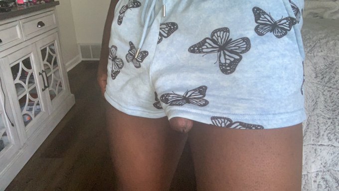 These shorts MAY be a little small https://t.co/cEpNfSSh9L