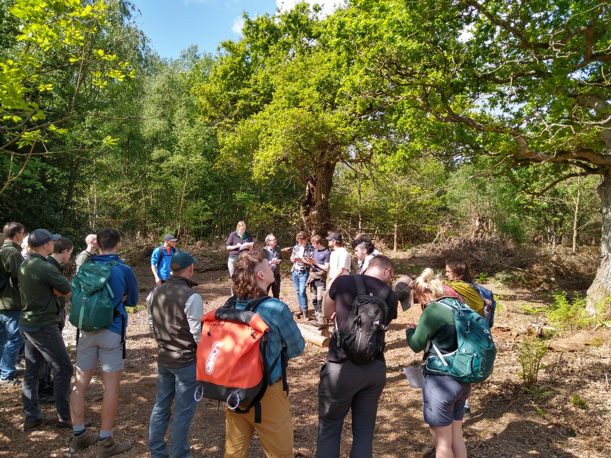 DortheVilladsen's tweet photo. Day 3 NSF Lowland Study Tour 2022. 2nd year students seeing veteran oaks, needle blight damage and conifer species trial. Thanks to Amy Chandler and Nigel Conner, Sherwood Pines, Forestry England
 @CumbriaUni @UoCNSF https://t.co/JDKnCOU0nY