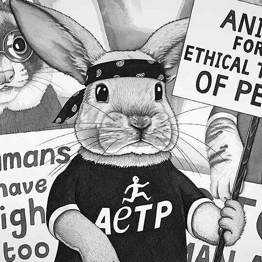 If you were being abused, bunnies would try to help YOU! ♥️♥️♥️

Please buy only cruelty free products! ♥️You can find a list of cruelty-free manufacturers here: ♥️crueltyfree.peta.org

Thanks to artist @barbaradanielsart 

#crueltyfree #bunny #rabbit #love