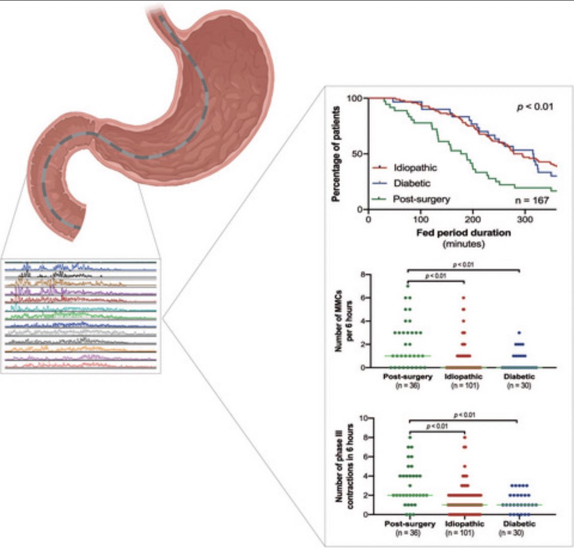 Maastricht UMC+ Gastroenterology & Hepatology tweet media