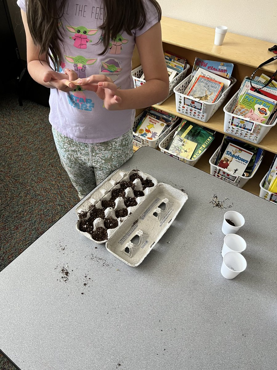 MrsBachmanin1st's tweet photo. Closing out track in with some recycled planters! My ss loves making these and can’t wait to see their marigolds grow over track out! I love combining standards we have learned all year in an exciting way!🌱 #firstgradeteacher #HawksSoar #trackout https://t.co/9g7ob4GOWY