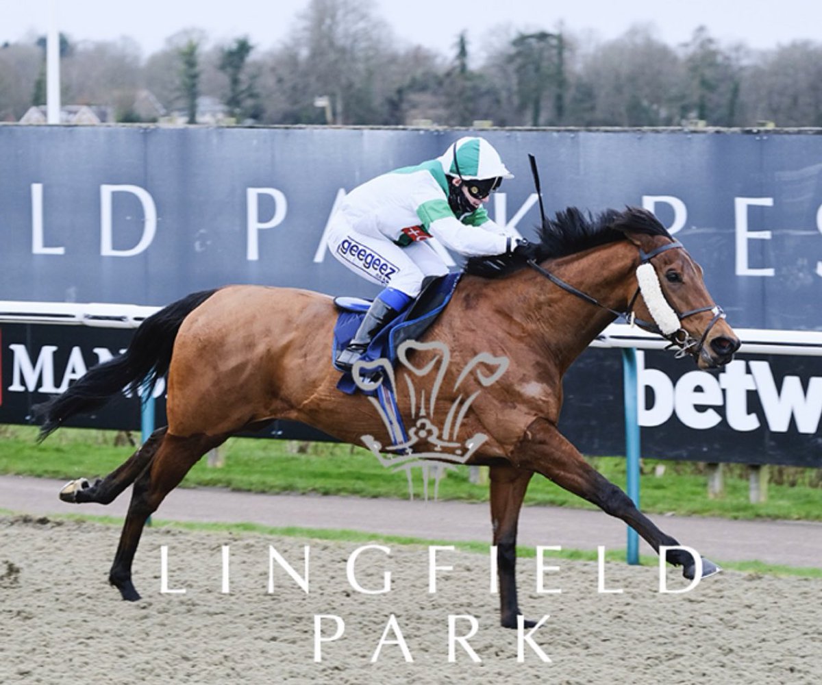 BillyLeaver_'s tweet photo. AGENT OF FORTUNE 
Settled in nicely at her new yard, she’ll now be trained by Brett Johnson in Epsom. 
Shares are still available in this 11 time winning mare. 
Lease 5% share for £69 a month. 

I don’t use Twitter often but will try to start posting more on here. https://t.co/CcVX2KBDep