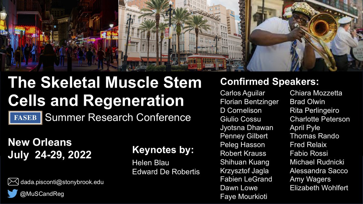 MuSCandReg's tweet photo. Hurry up #MyoTwitter 💪 folks! 

- Abstract deadline: June 13 
- Early Registration (at discounted rates): June 23
- Trainee travel grants: available 🥳
- Childcare grants: available 👶

Info: https://t.co/4TPj6pXLa7 https://t.co/kdcanuS1Gl