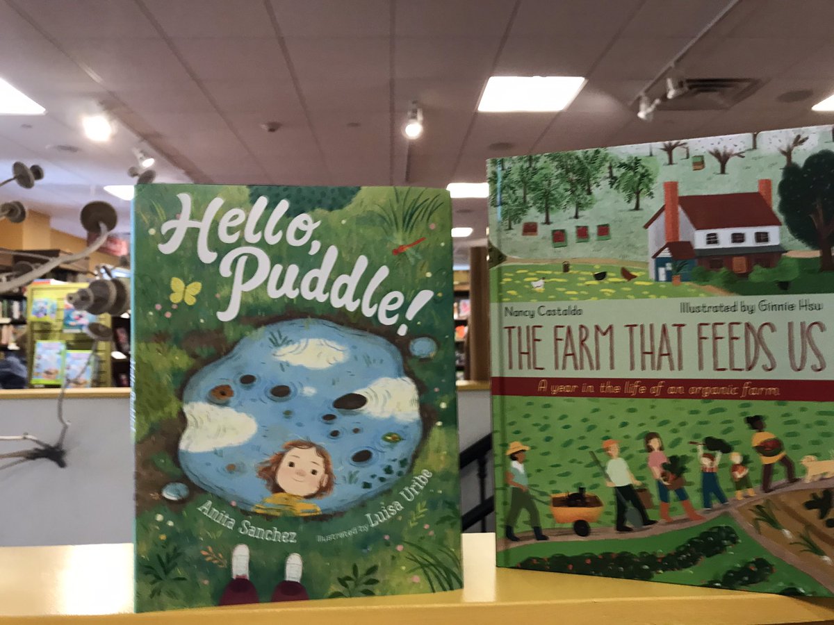 NCastaldoAuthor's tweet photo. Love seeing @asanchezauthor ‘s book b side mine at @NorthshireToga #QuartoKnows @QuartoKids https://t.co/nnzQSmbvco