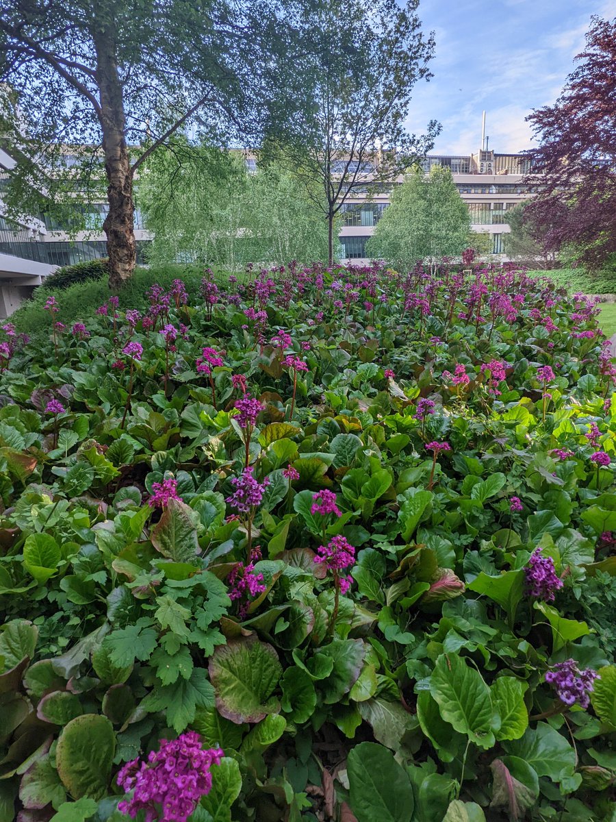Miles tweet media