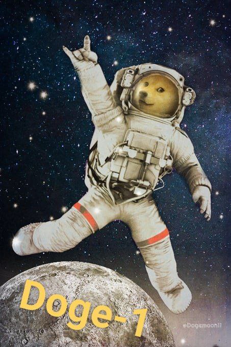 Doge-1 Mission to the moon tweet media