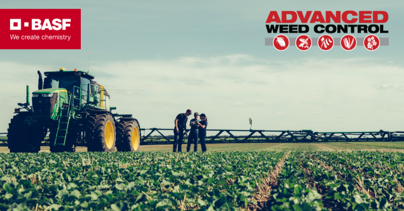 BASFAgSolutions's tweet photo. Missed the canola pre-seed herbicide window? Lucky for you, the window to qualify for the Advanced Weed Control program is still open. See how you can still take advantage of all the program’s benefits: https://t.co/ZHA2mZry4X #WestCdnAg #canola #AWC https://t.co/tgkaHoqcCs