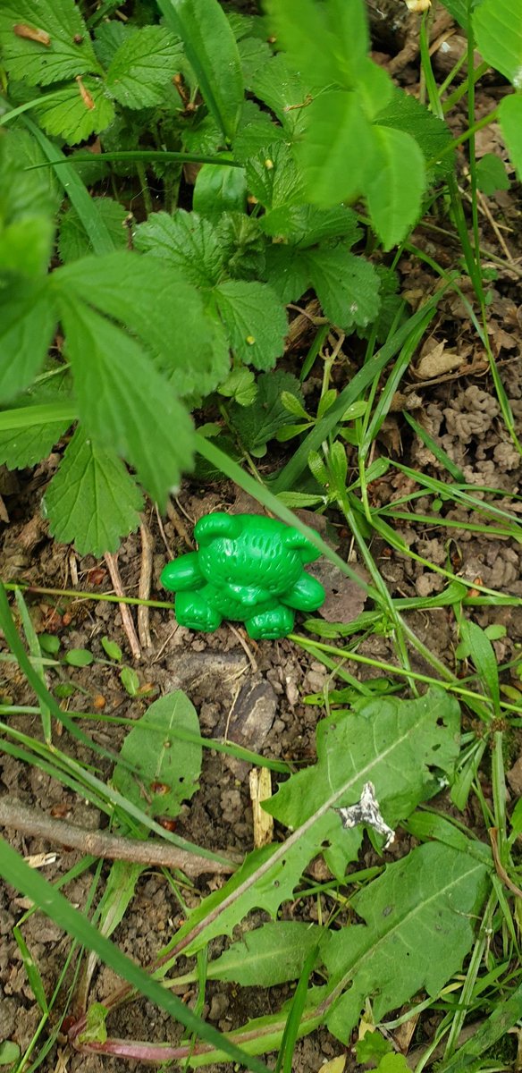 ChilternY4's tweet photo. Bear hunt today for our Outdoor Adventure Club! We learnt about #camoflague #bearhunt #outdoorlearning @YPTE @PagesAwards #comparebears #science https://t.co/DO8hbW0dZa