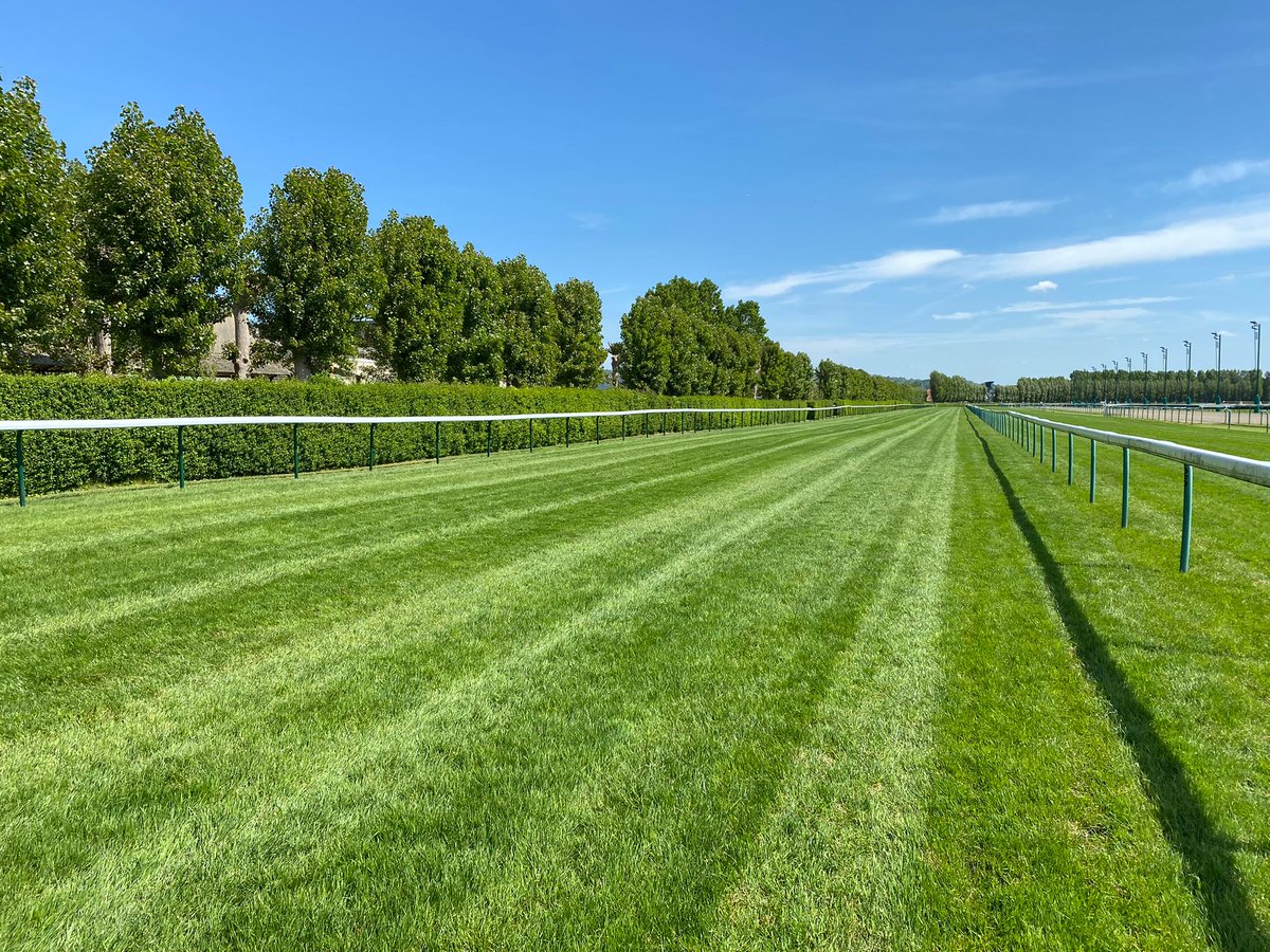 BrzUps's tweet image. 🤩Just 2 days until The @InfoArqana Breeze Up sale on the 12th-13th May
For full catalogue➡️bit.ly/3N3q3Cj
The track and weather look 👌
#BreezeUps #Quality #BestYearEver
