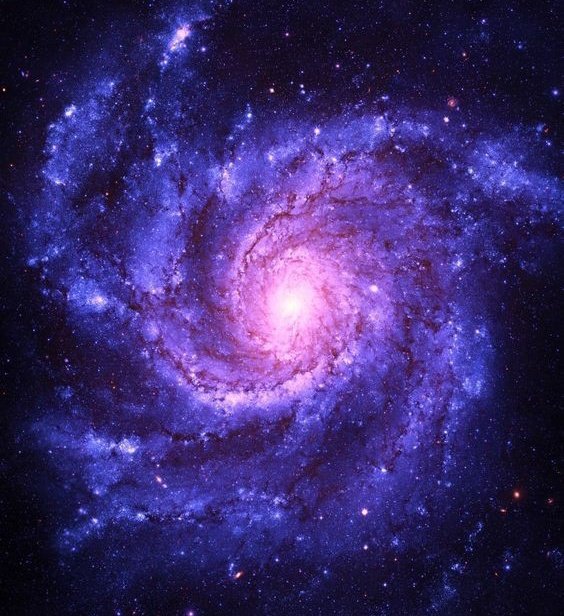 2stBunnycitizen's tweet photo. EXO 엑소 Spesial Album 10 Years Anniversary [THE GALAXY]

🎧 2022.05.10. 9PM KST

#엑소 #EXO #weareoneEXO
#THE_GALAXY https://t.co/M0SWQzgE5a