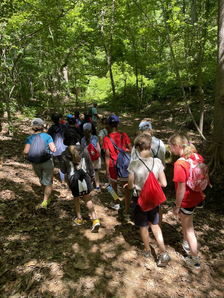 pdslmartin's tweet photo. Forest Ecology….becoming one with the trees! #pdschargers https://t.co/dapQKUKOBj
