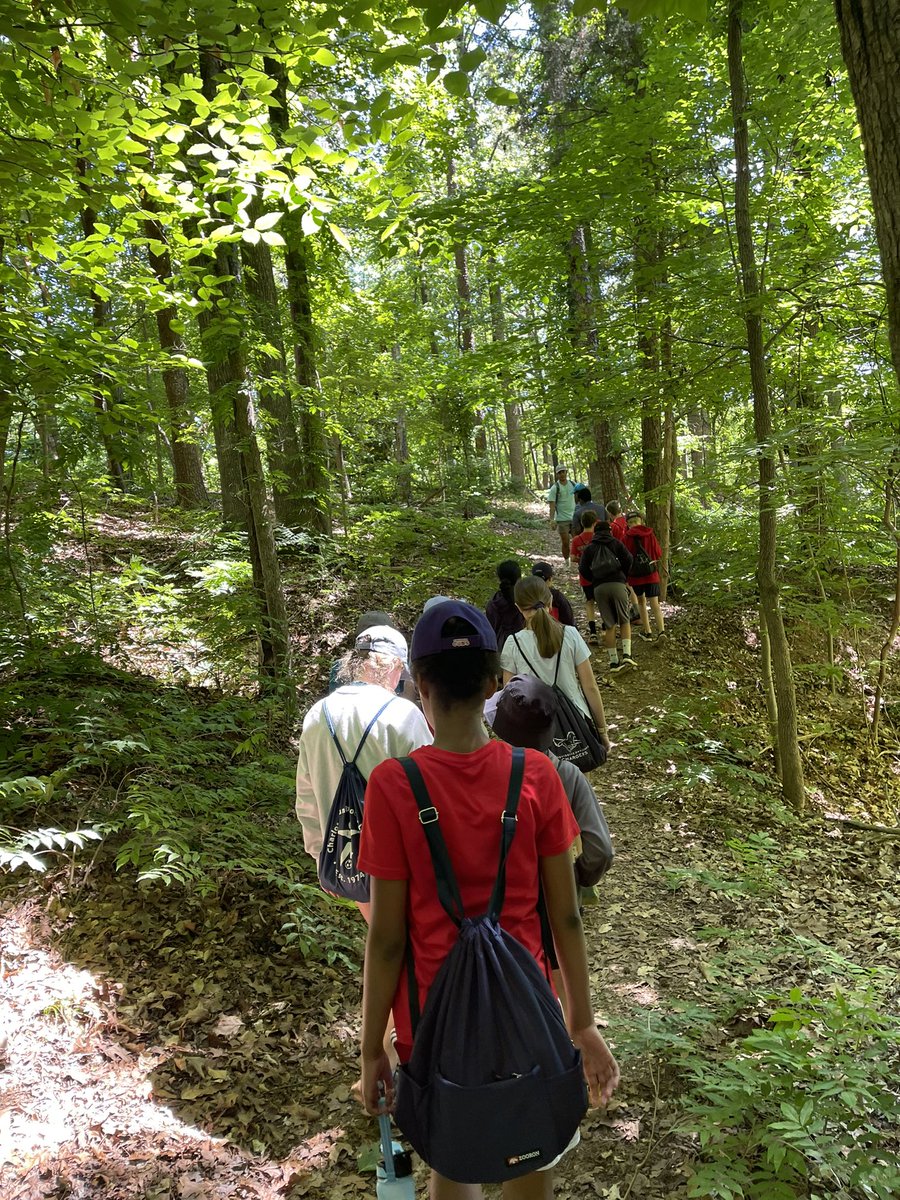 pdslmartin's tweet photo. Forest Ecology….becoming one with the trees! #pdschargers https://t.co/dapQKUKOBj