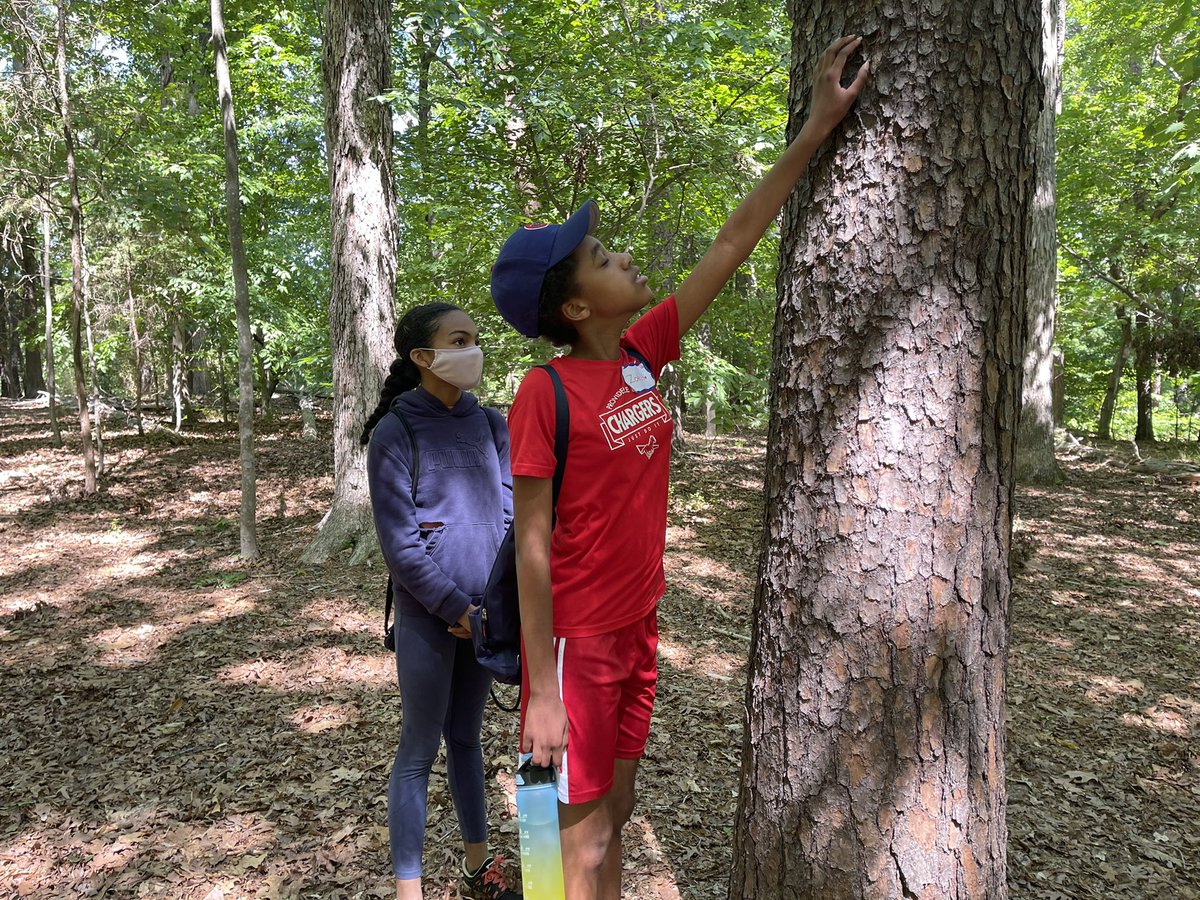 pdslmartin's tweet photo. Forest Ecology….becoming one with the trees! #pdschargers https://t.co/dapQKUKOBj