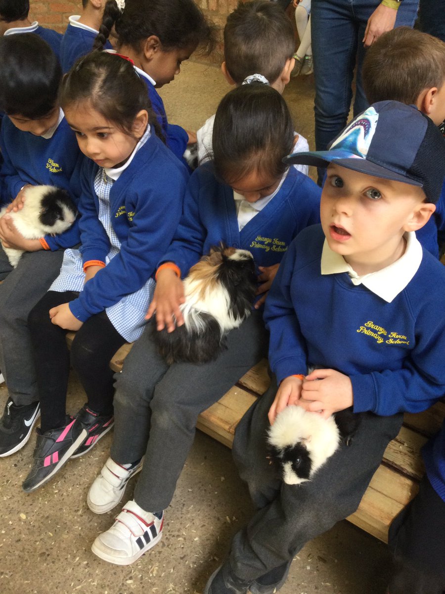 gfprimarycov's tweet image. Reception thoroughly enjoyed their trip to Hatton Farm today. We have fed the animals, been on a tractor ride and had fun on the soft play. We will all sleep well tonight! ☀️🐮🐷🐔 #GFReception #funonthefarm