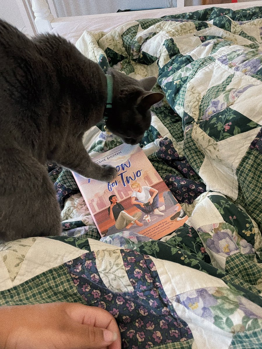 my book baby A SHOW FOR TWO is out in the world today 💖 this book is a love letter to NYC and I can’t wait for you all to read it!!

goodreads: goodreads.com/book/show/5775….
barnes &amp; noble: barnesandnoble.com/w/a-show-for-t….
indiebound: indiebound.org/book/978133542….
amazon: amazon.com/Show-Two-Tashi….