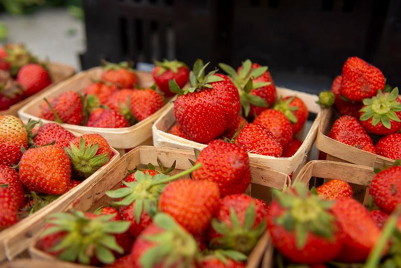 Get ready for the Northcenter Farmers Market!! Starting June 4th from 8AM-1PM, the farmers market will be returning to the Northcenter Town Square with a roster of wonderful vendors providing produce, pastries and much more.