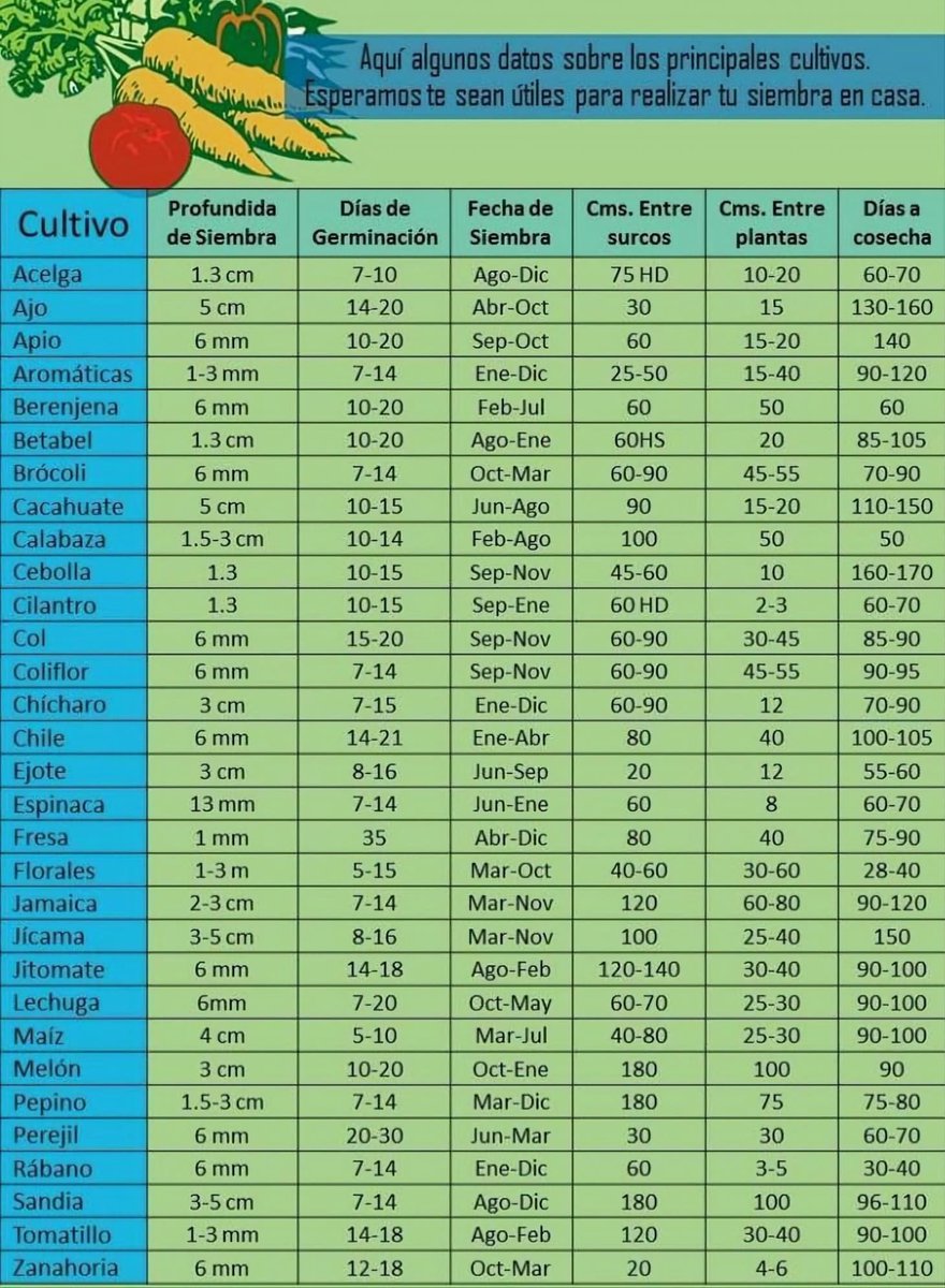 InfoAgronomo's tweet photo. Profundidad de siembra, fechas de siembra, distancia de siembra de algunos cultivos https://t.co/ceEcoFDbnY